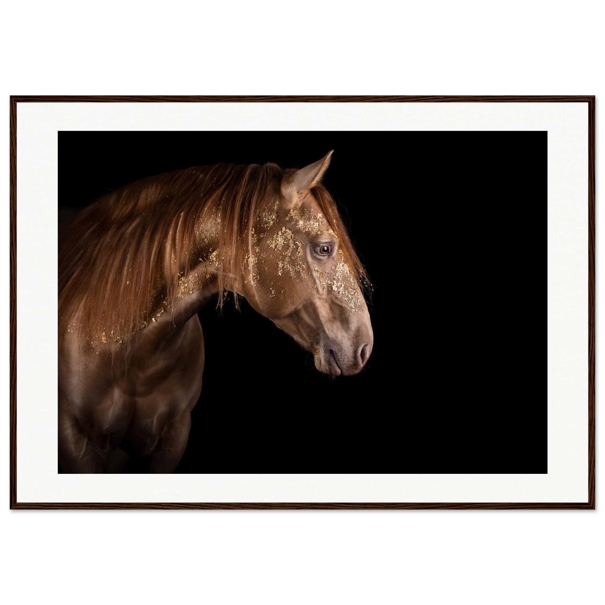 eec1aacc-b085-4335-bd56-7571a3250d61