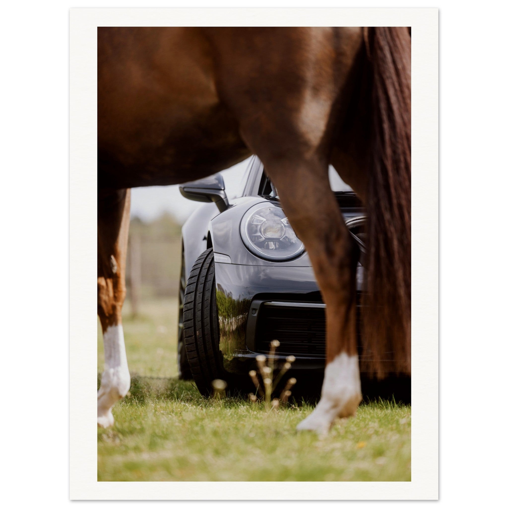 eeebb50a-541b-4ab6-a928-575ba164e144