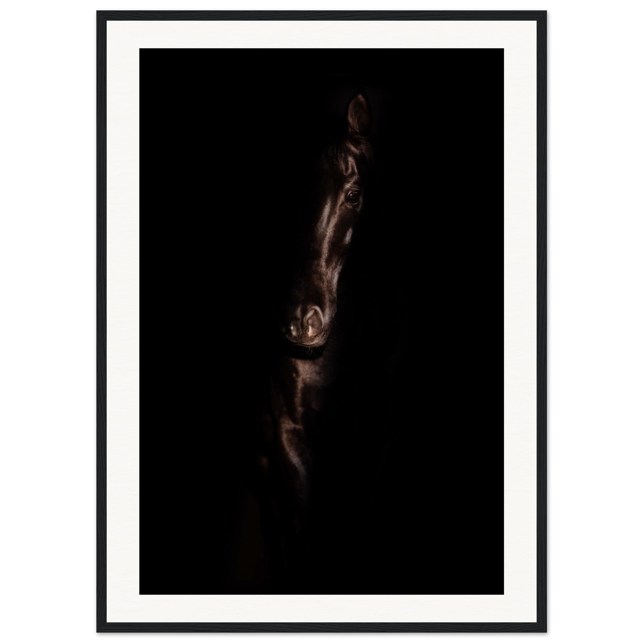 ef1160ef-eaf3-486b-93aa-dda4572c4036