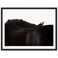 ef51828d-524f-464e-acc4-6f785631c095