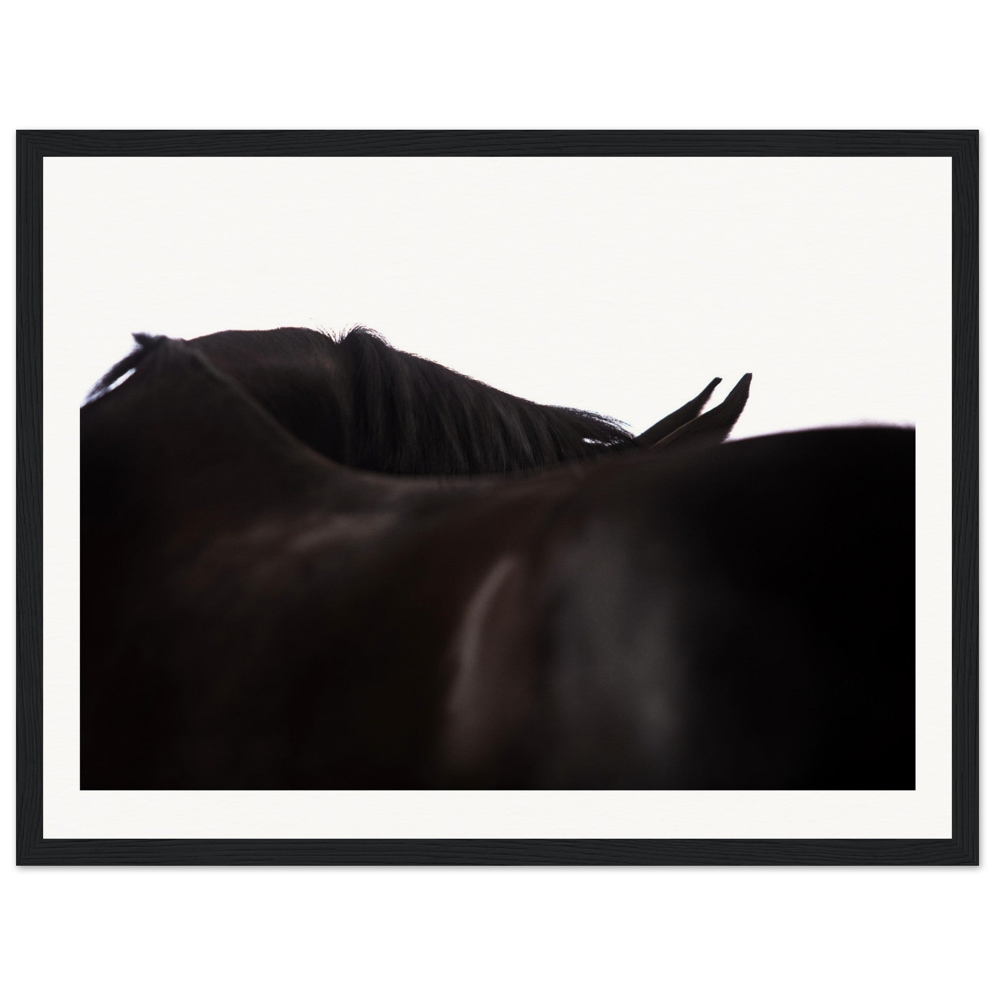 ef51828d-524f-464e-acc4-6f785631c095