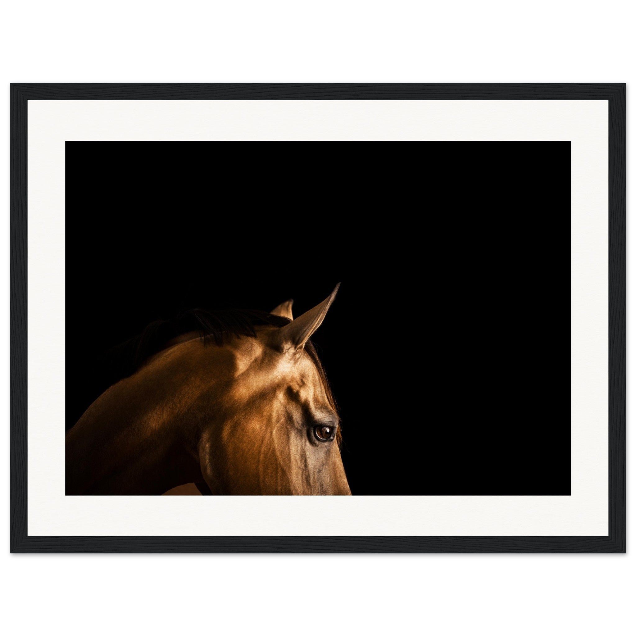 ef60f34d-6c63-4386-b99a-9bca1b182d21