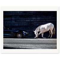 f01e94c8-ad5a-4e36-86c1-620f589434fc