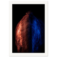 f052286e-4d38-4b97-9659-0f42d5fe2627