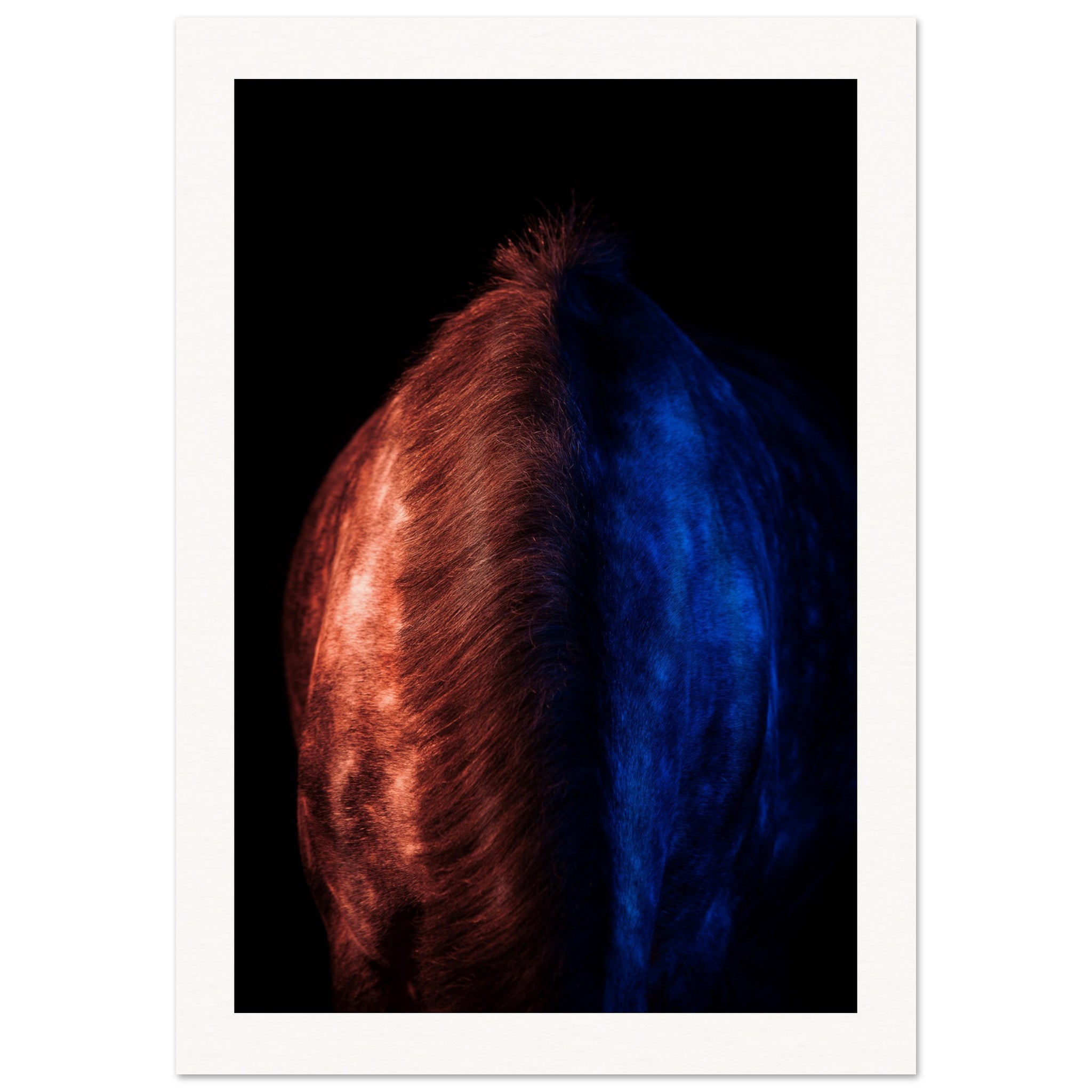 f052286e-4d38-4b97-9659-0f42d5fe2627