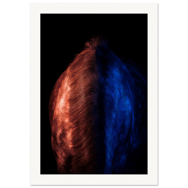 f052286e-4d38-4b97-9659-0f42d5fe2627