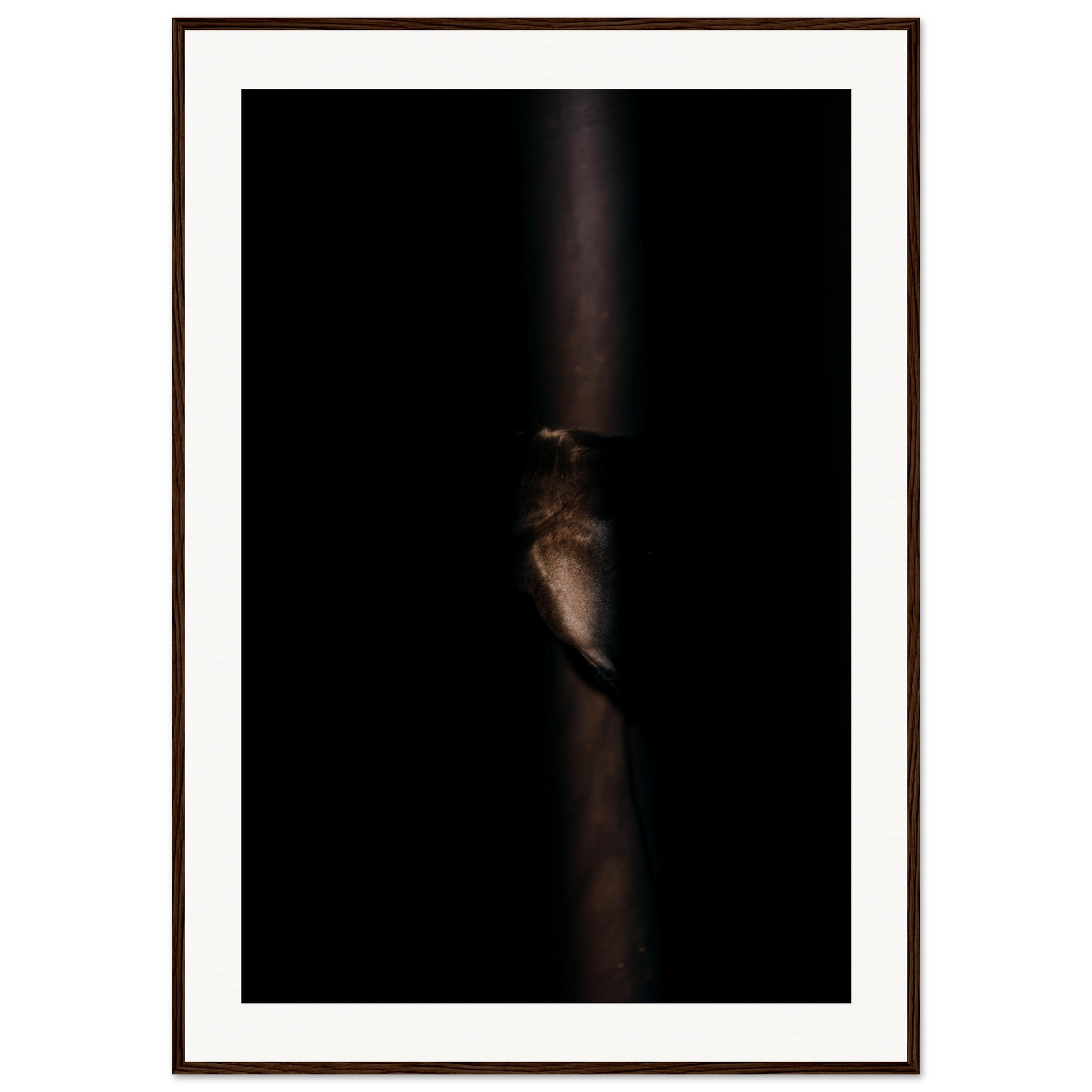 f061b59d-c7f7-4ee1-b8c9-868adbb17c31