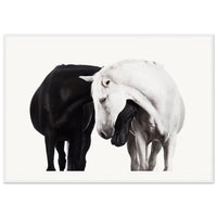 f0b7e987-6c65-43a7-9853-e6ae844cf4dc