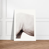 f11c9620-bc07-4984-981c-f0006df24822