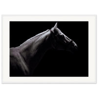 f123fc32-d48f-4539-b73b-e36b17ef77cc