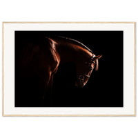 f1d32304-8fa3-4001-8402-84e85da514ae