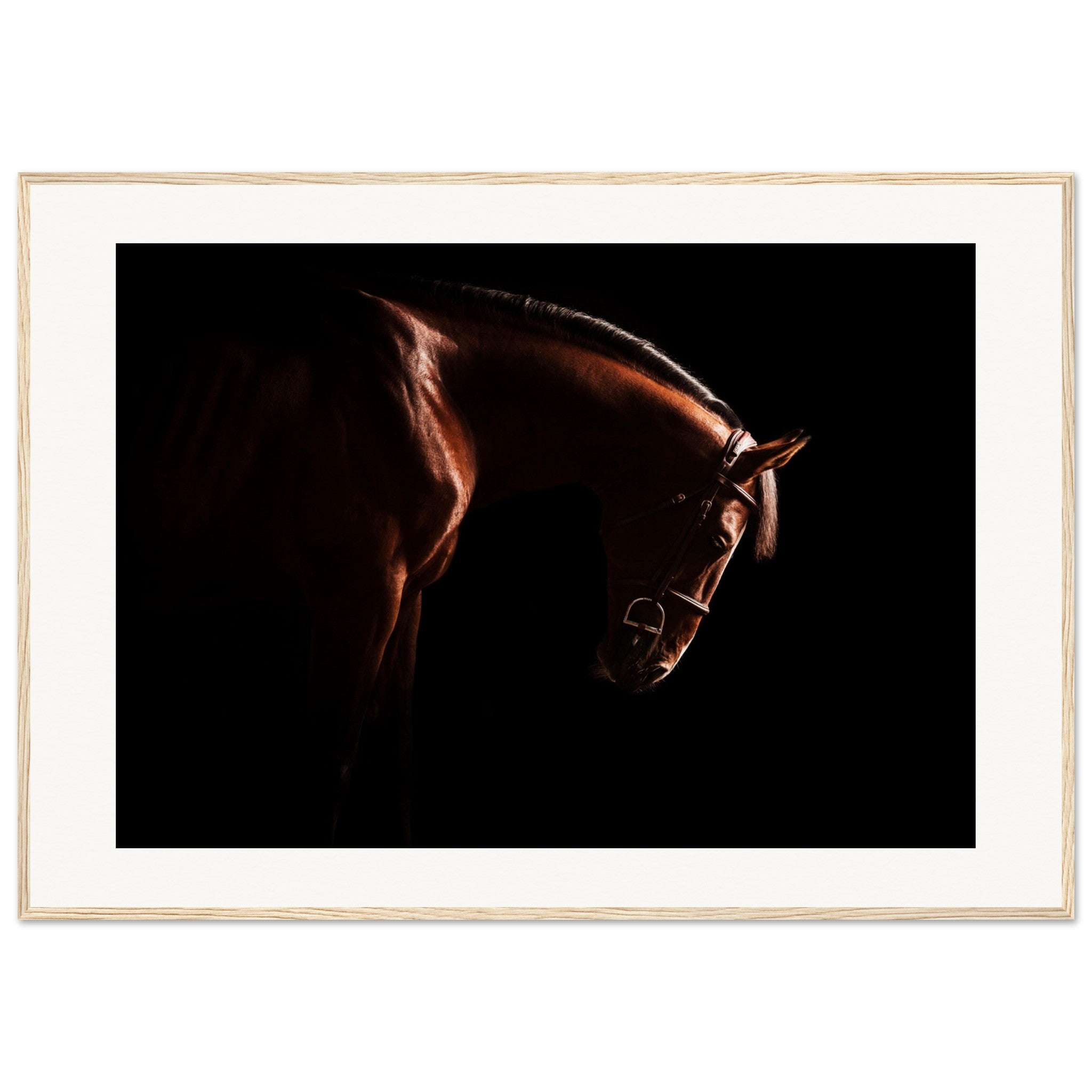 f1d32304-8fa3-4001-8402-84e85da514ae