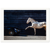 f1fcaa5d-4877-40a5-bf43-db3ed2e36ac1