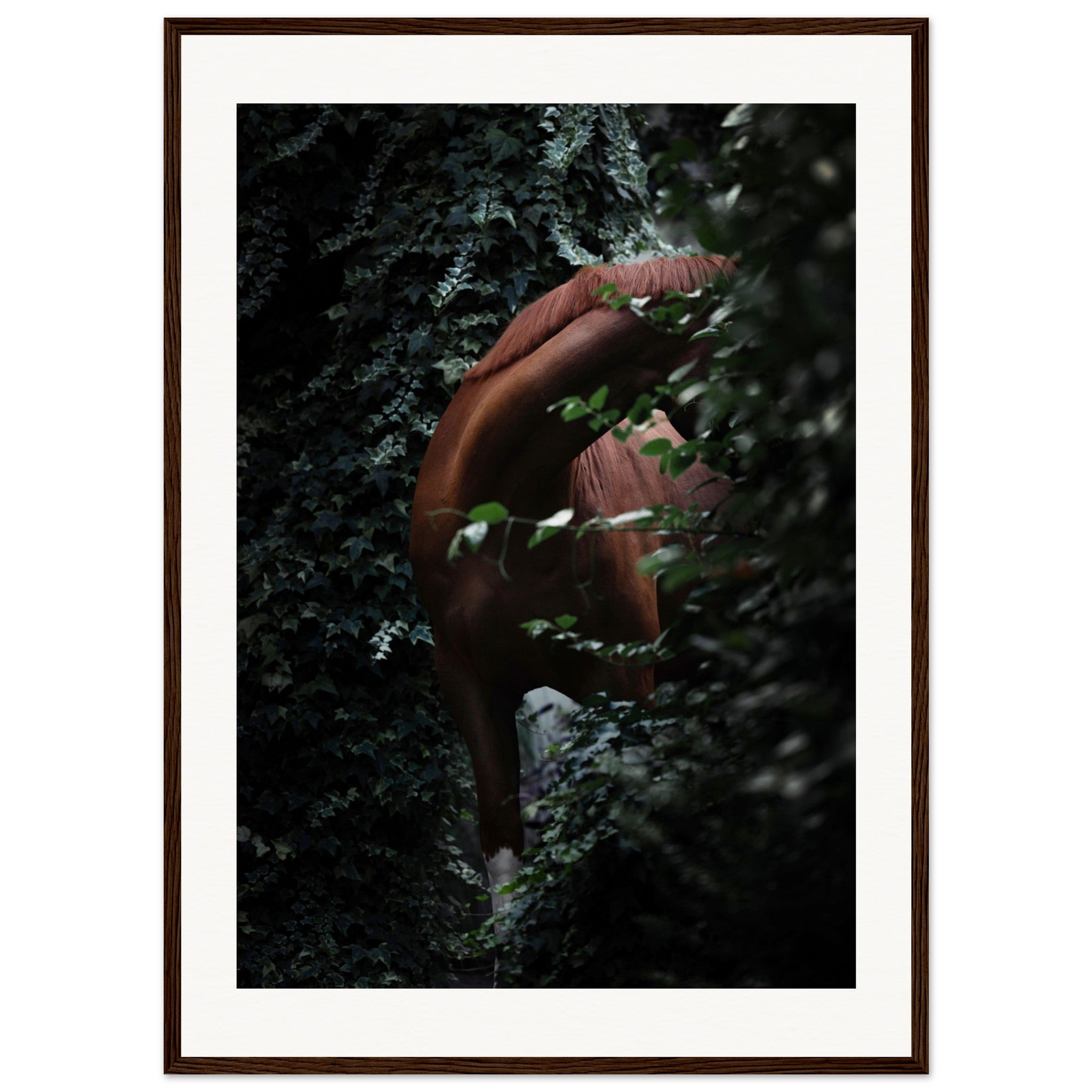 f212a67d-d1f2-41e7-b958-b84030218b96