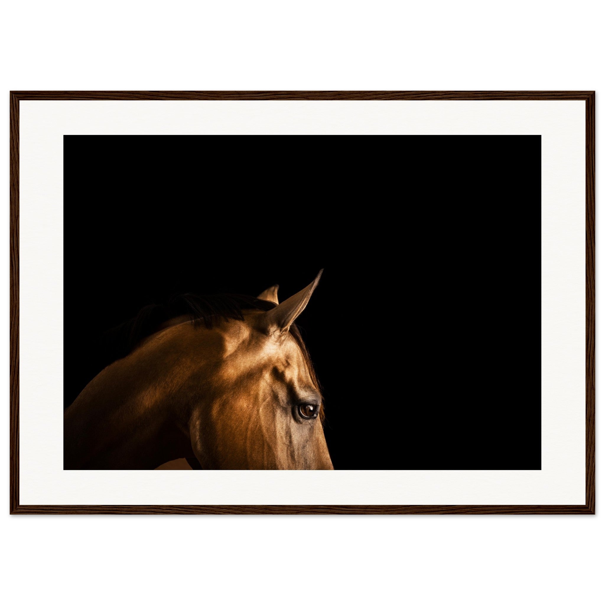 f258529d-7523-4672-bc05-6957d2425212