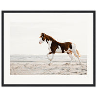 f2d35b27-4715-47fe-a0b7-cf4a61d86448