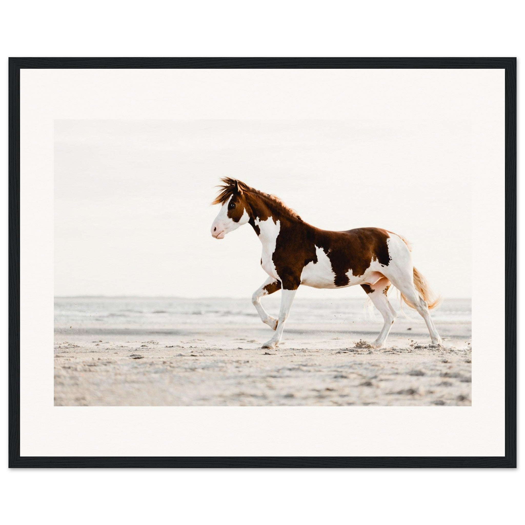 f2d35b27-4715-47fe-a0b7-cf4a61d86448