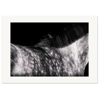 f3036239-ecc6-4ed8-9434-022ed58d386c