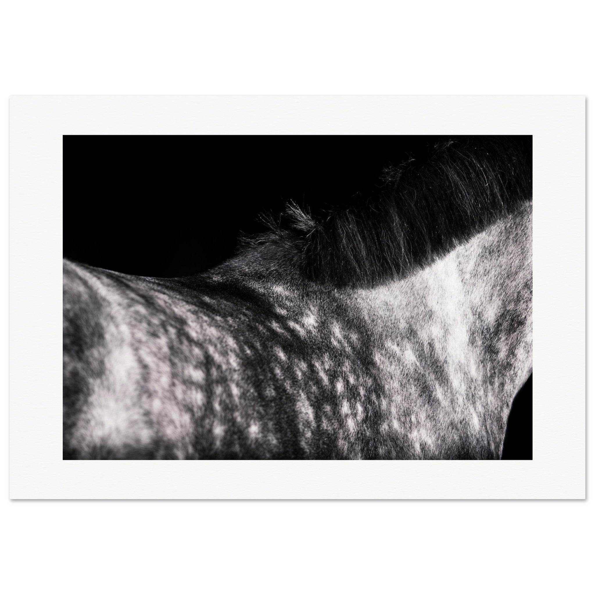 f3036239-ecc6-4ed8-9434-022ed58d386c