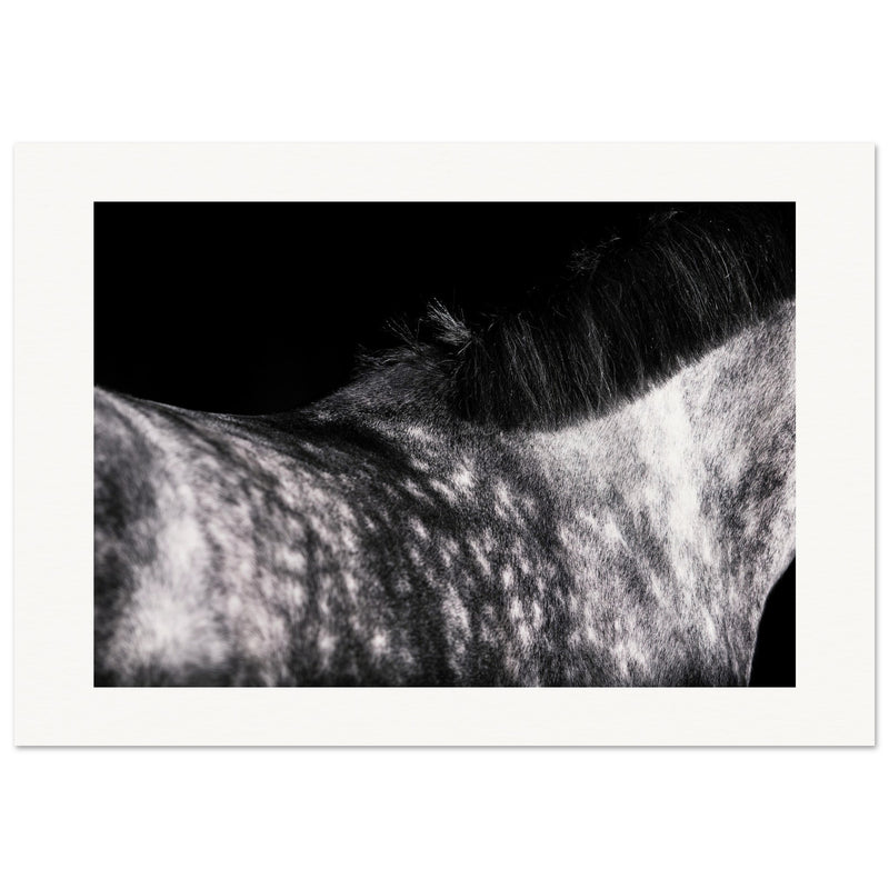 f3036239-ecc6-4ed8-9434-022ed58d386c