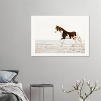 f30b3185-1147-4d6d-9dc0-26c8296494ff