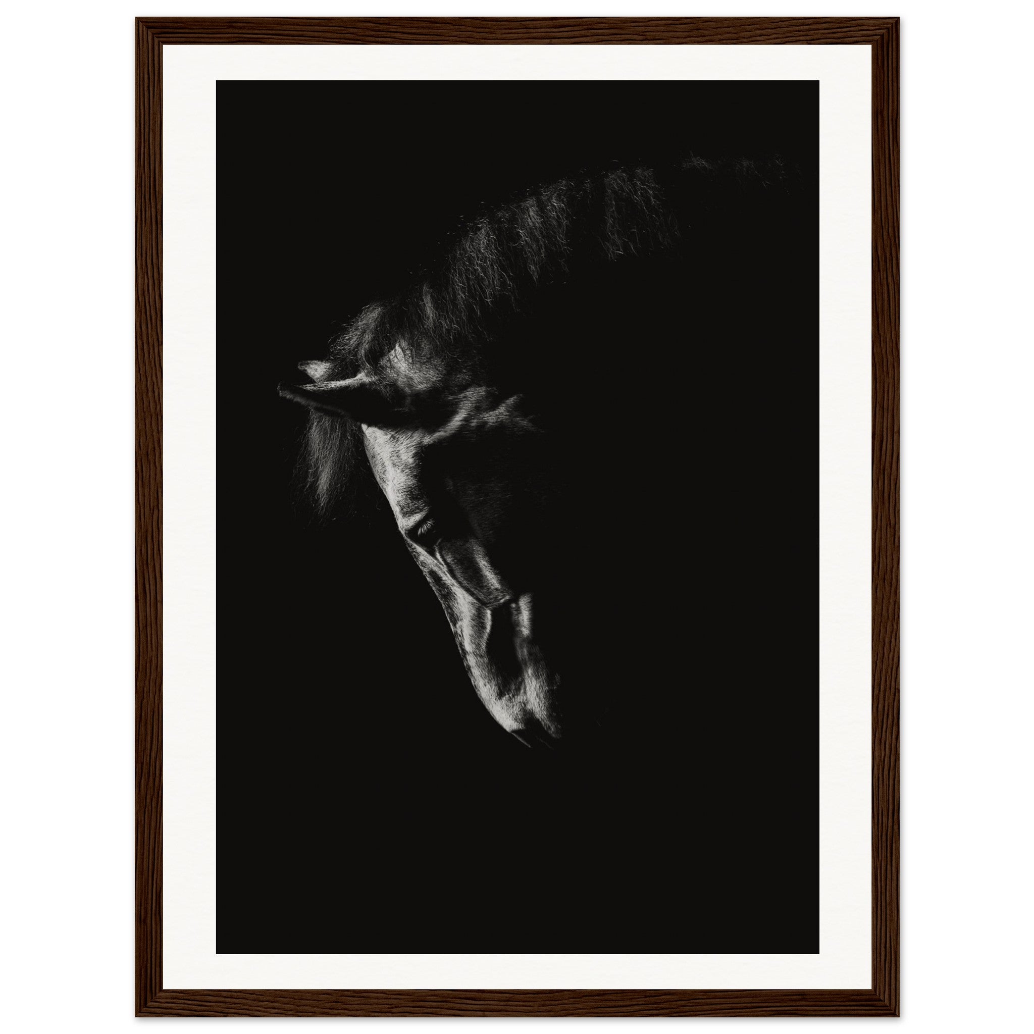 f32a855b-c9cf-401c-bfbb-d3622d8237ee