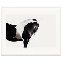 f36d7587-d1a9-4101-b26c-c9b9db41b73f