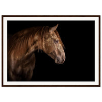 f3b7dd33-5995-4bbc-b628-9b15d53d47ca