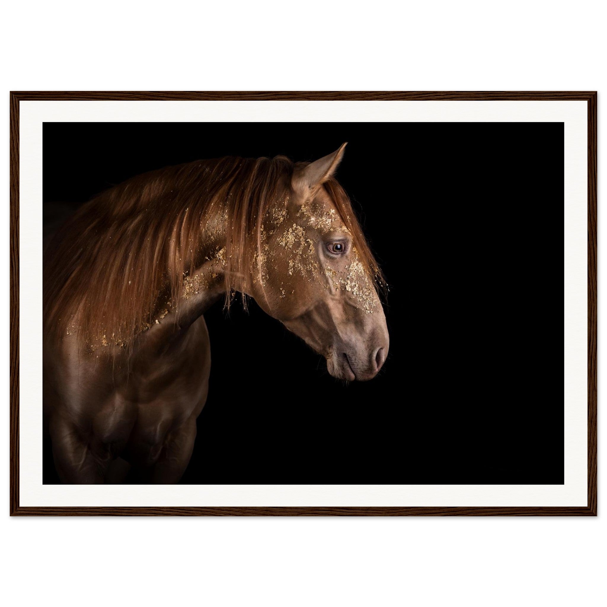 f3b7dd33-5995-4bbc-b628-9b15d53d47ca