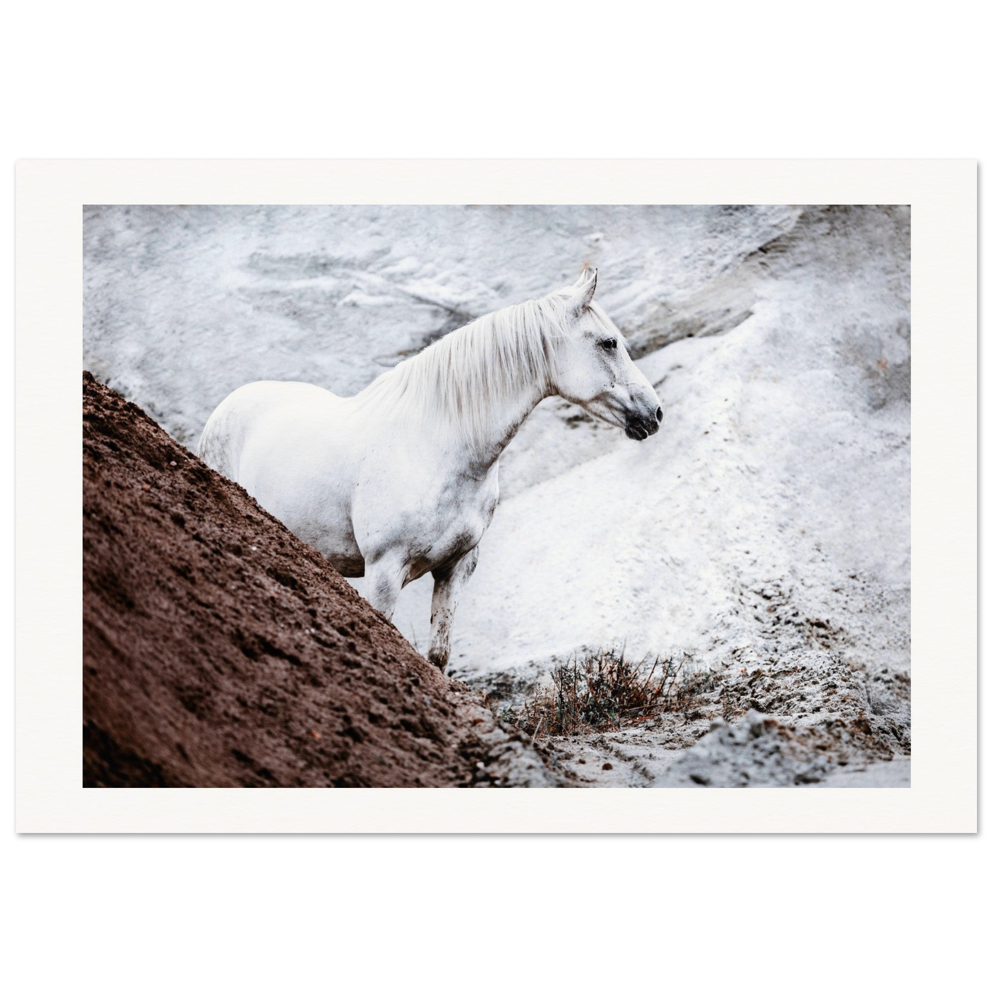 f422fab5-76a0-4e76-a43a-bf6a5420e70a