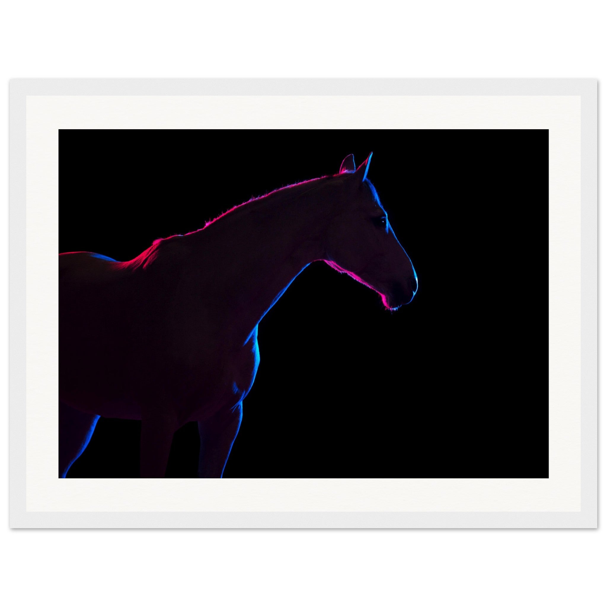 f42a8d54-494d-44ba-be01-93162eeb6dae