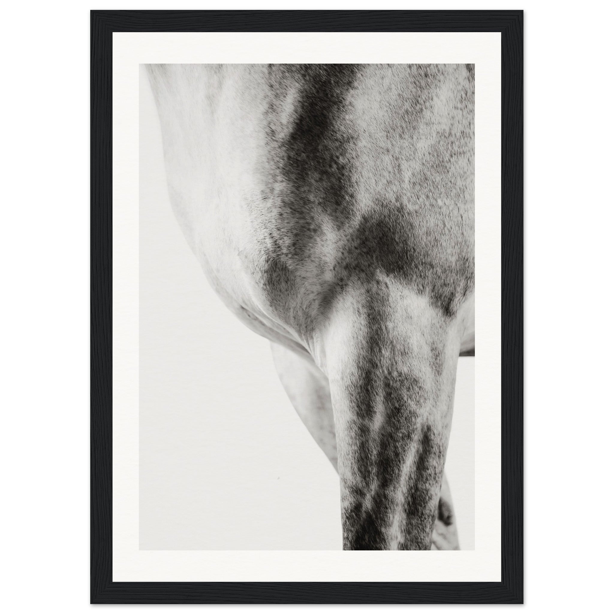 f4b8cdb8-b4f5-49b3-999f-bc2ec0f64d69