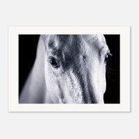 f51f2bf3-fda0-45ba-a3c7-8f68c38d2301