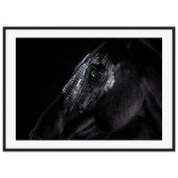 f56eba43-5542-4448-84bd-1307a1a88a53