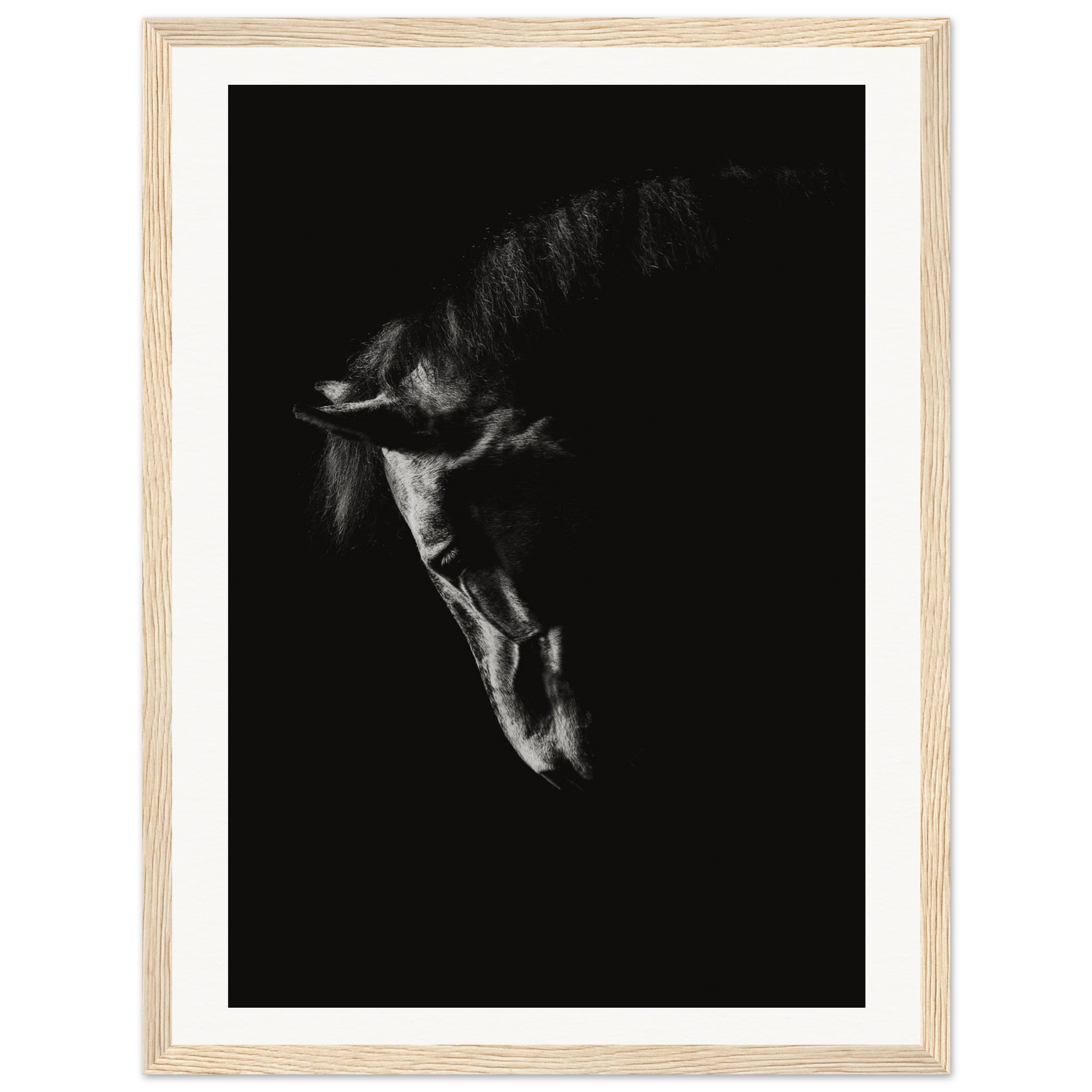 f57c8c9f-05d8-4fb4-b4c1-977c9337c116