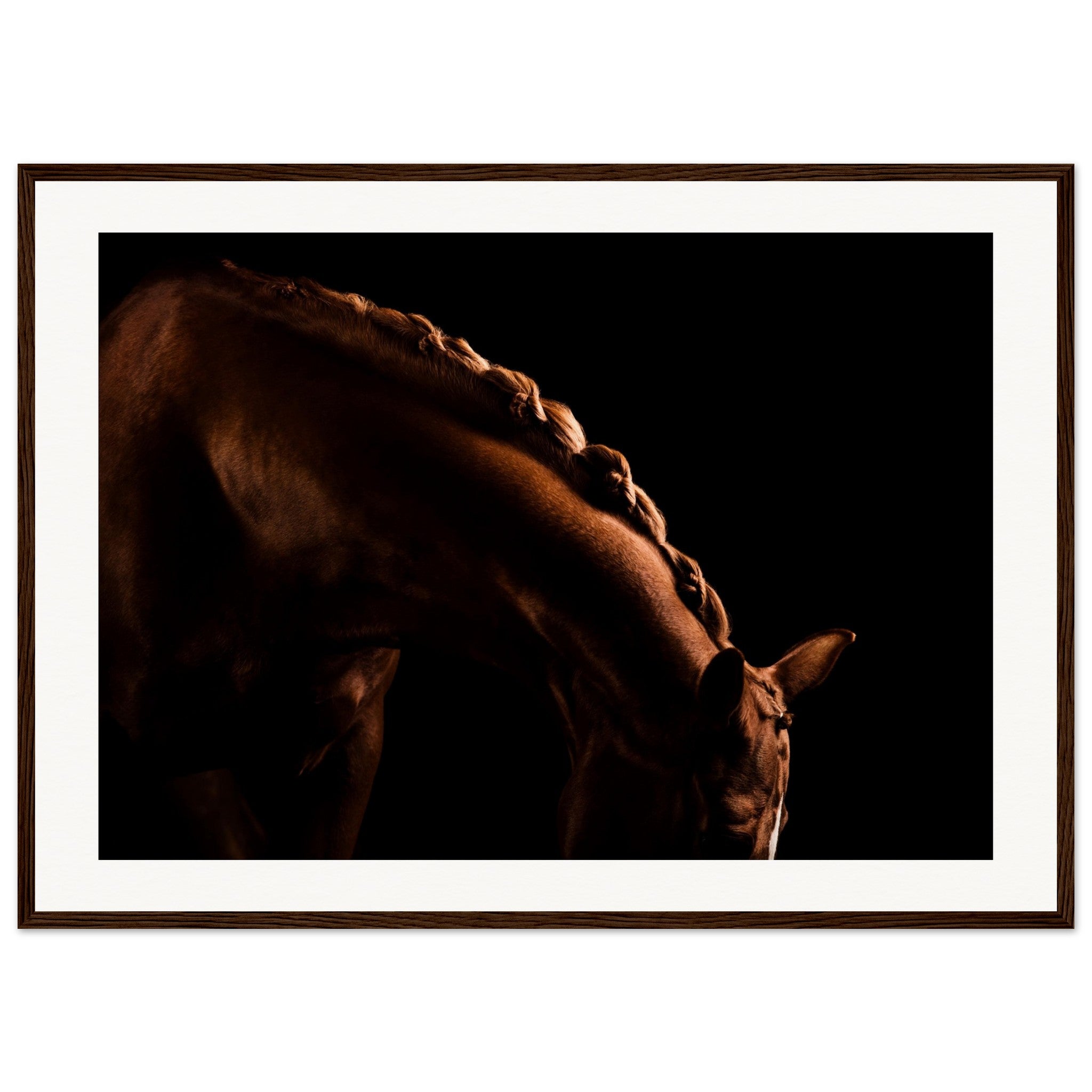 f58fc86c-b578-4b5d-a505-6c3052d1480a