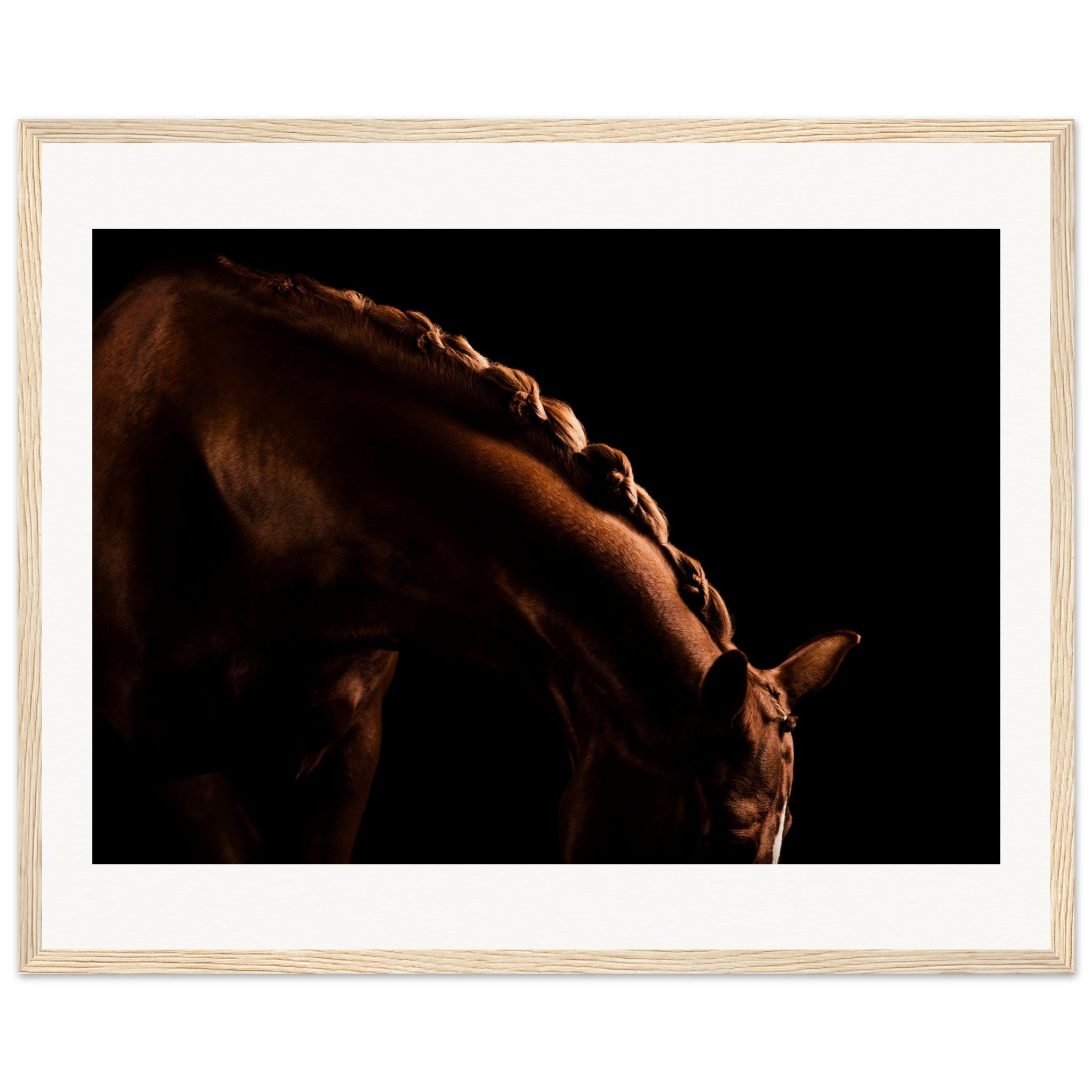 f5c20965-cf6f-4b5a-8a8a-6db6812f8008