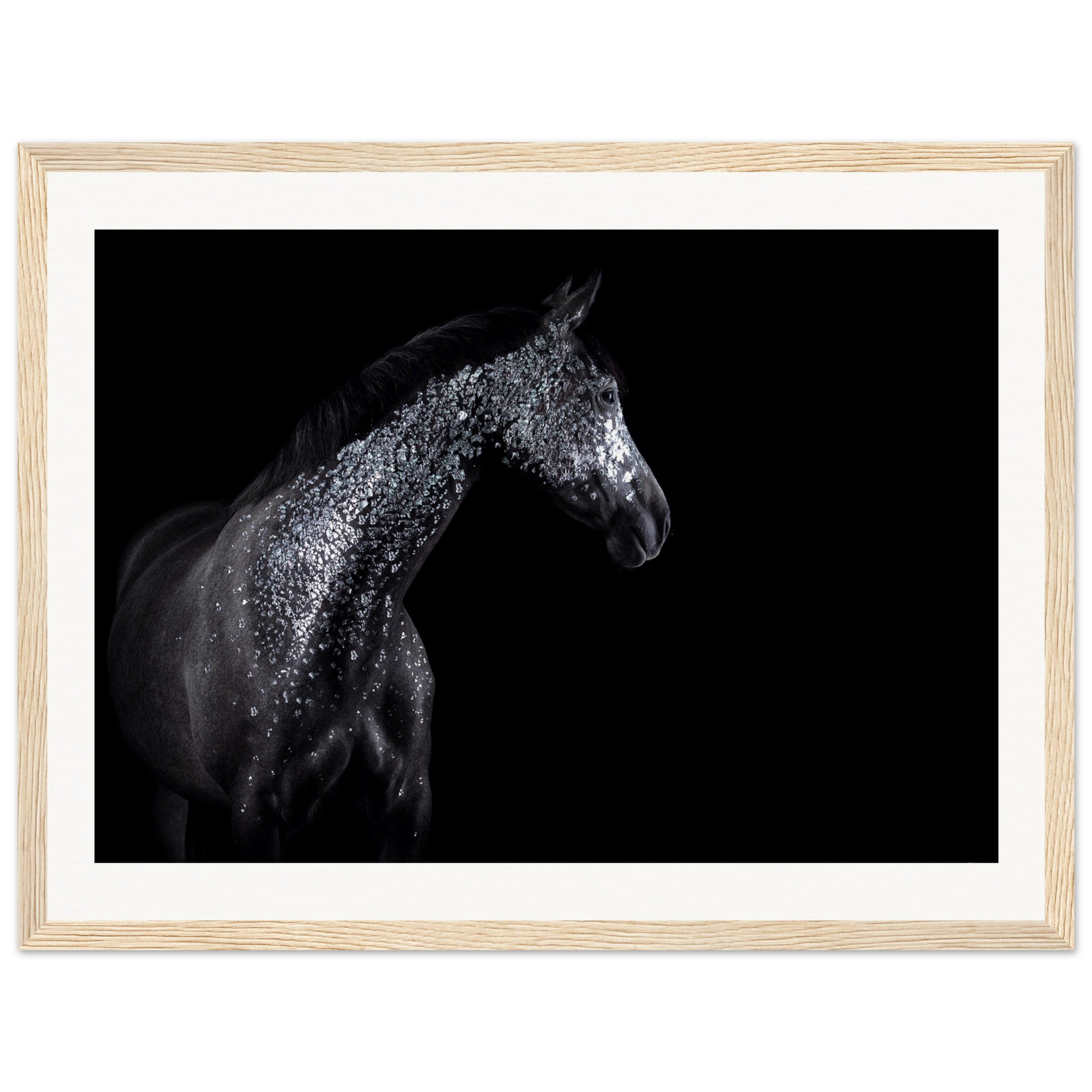 f603aa05-27c1-4738-9470-9fbacf8e9b36