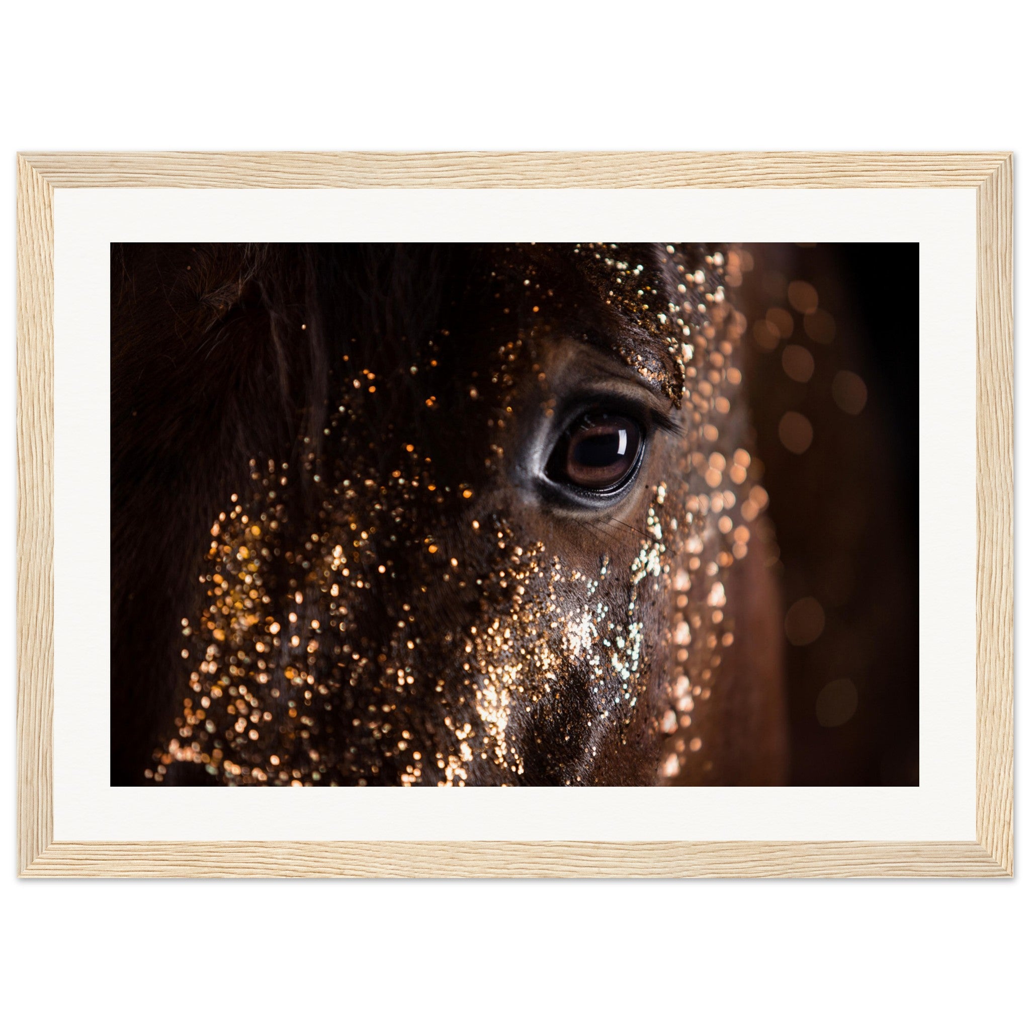 f61b649a-abc0-4ed2-8a46-5add8b14f504