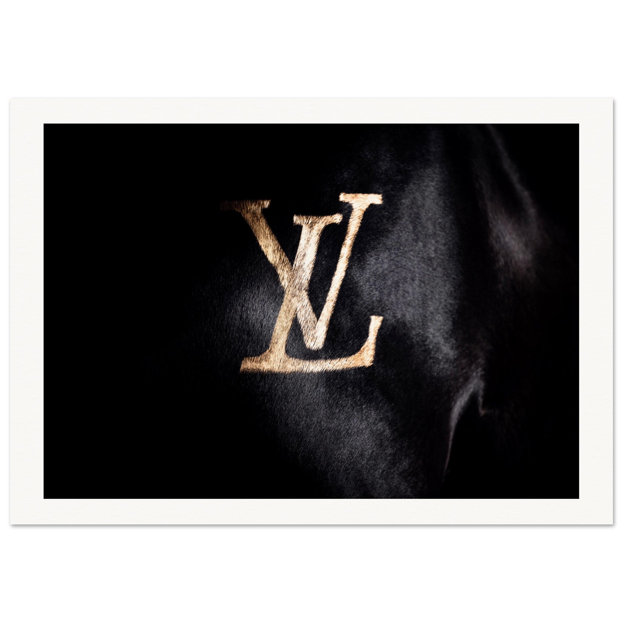 f65fe040-1a4e-457e-9913-5dc8b6b85b45