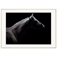 f6760f5a-249c-417f-9a7a-36cf6ed68cb9