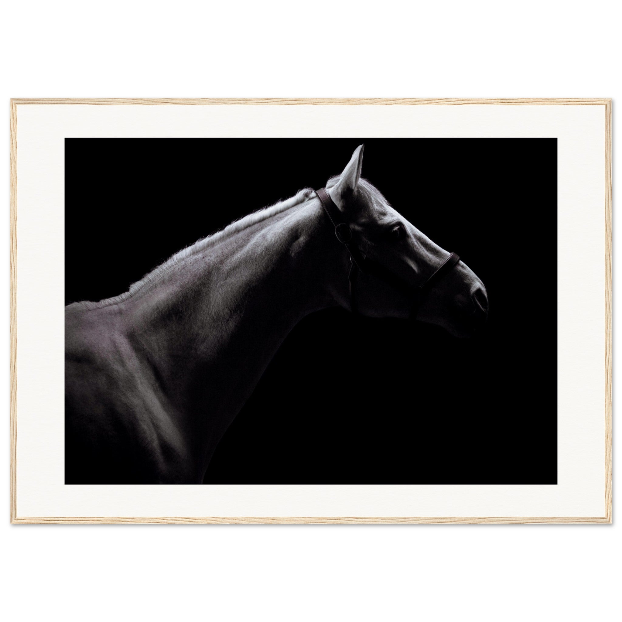 f6760f5a-249c-417f-9a7a-36cf6ed68cb9