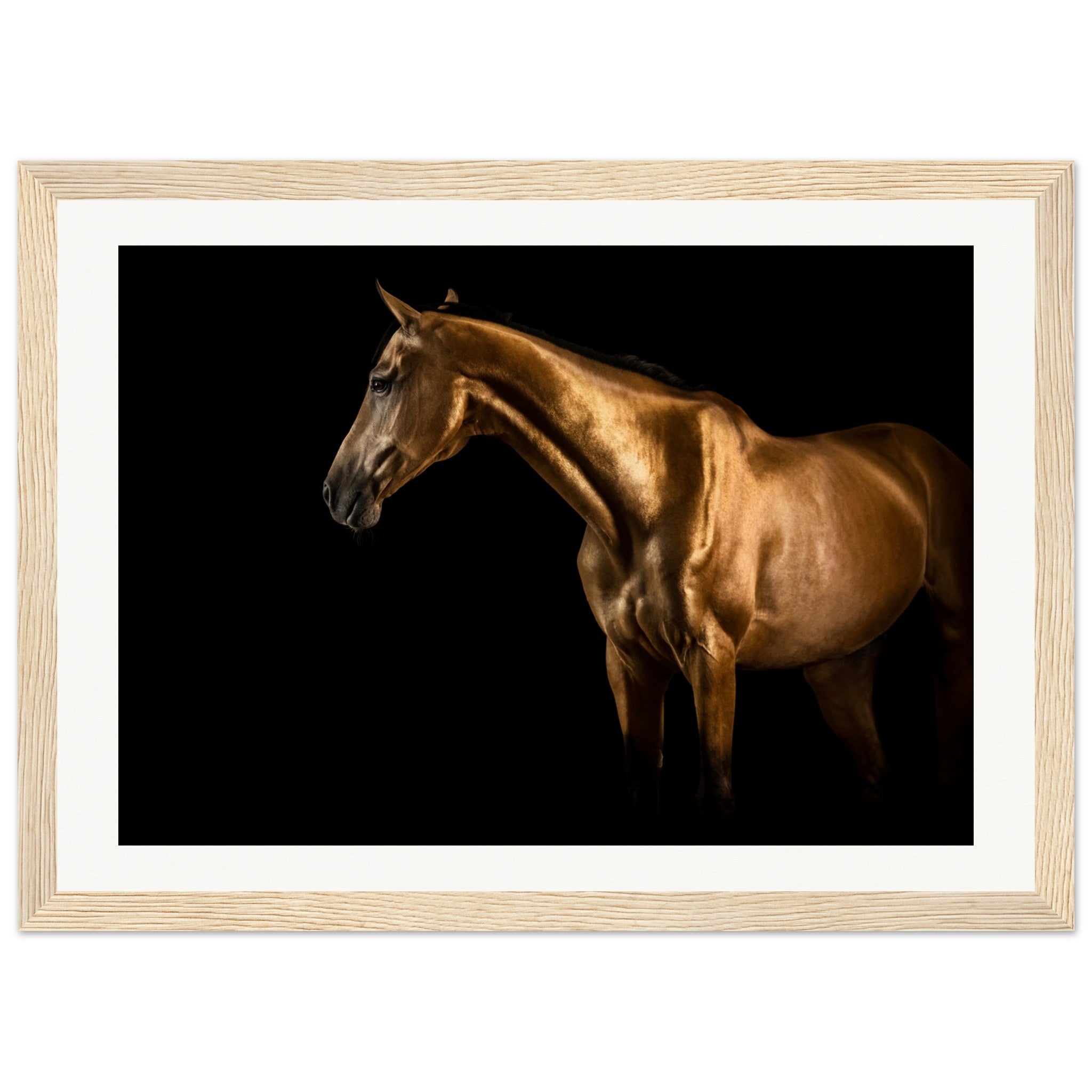 f67657ce-eb31-4808-82da-13c57a8b9f14