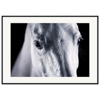 f69458a7-909d-49a6-bec5-dcdf6c435882