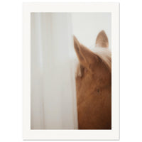 f6bcb825-f06c-49b0-a2c6-bfe2e4fd6309