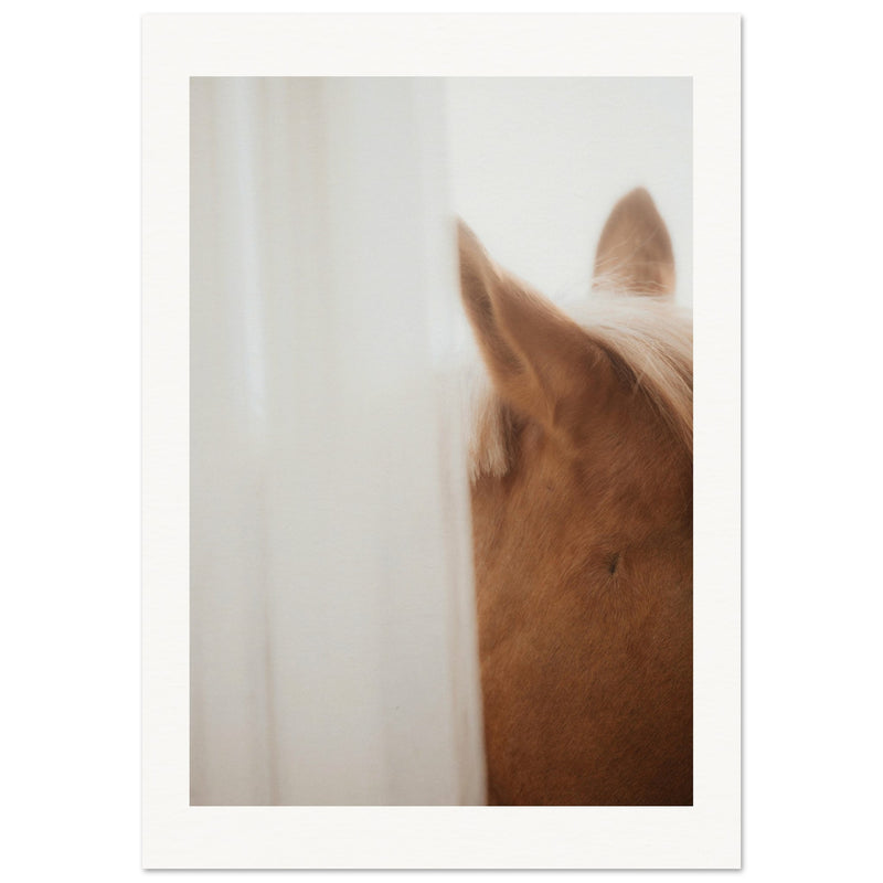 f6bcb825-f06c-49b0-a2c6-bfe2e4fd6309