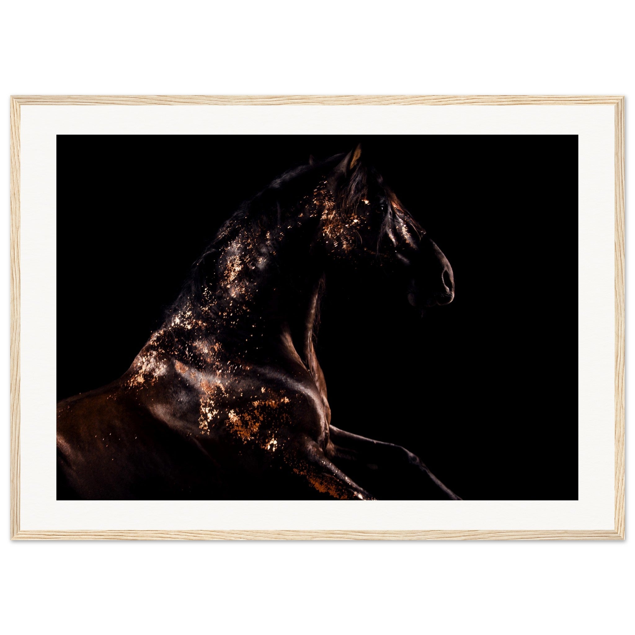 f6e8be7a-cac6-4831-939d-818700eb2649