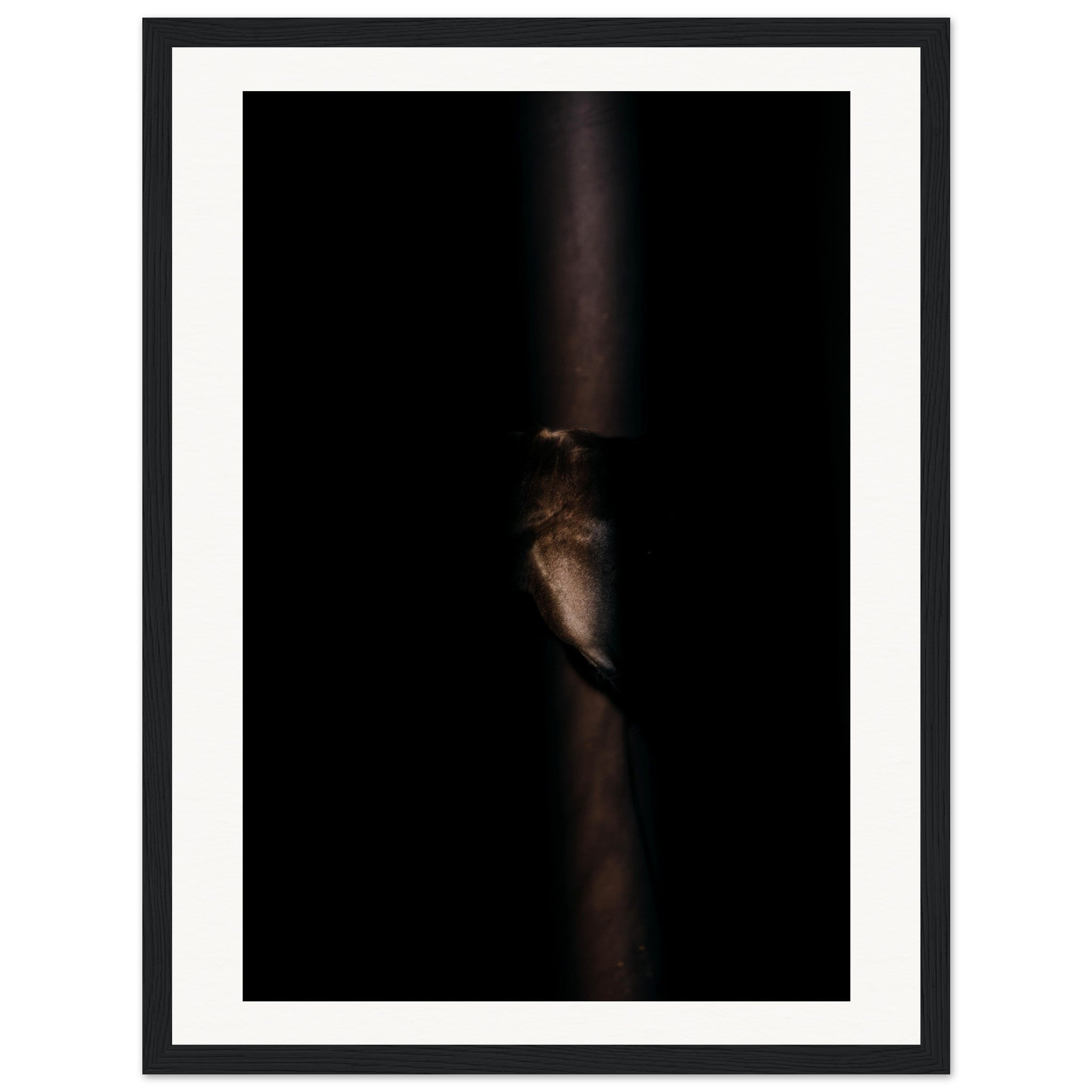 f709efc5-83d8-4cea-b428-c9b56ec3262a