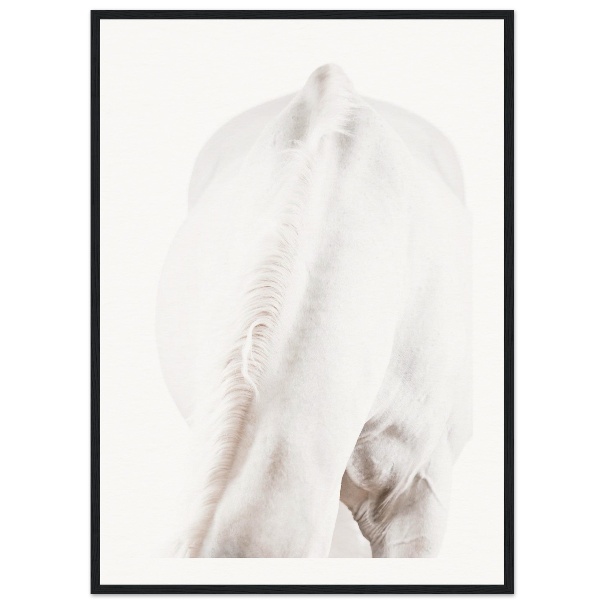 f88a8e03-86ec-4d60-ba64-3b798ca2100b