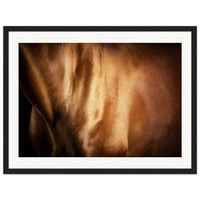 f89b62f9-e304-48ef-a2a6-ecdc043f6130